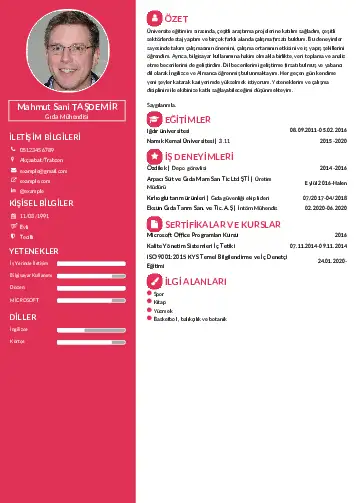 Gıda Mühendisi CV Örnekleri cv indir